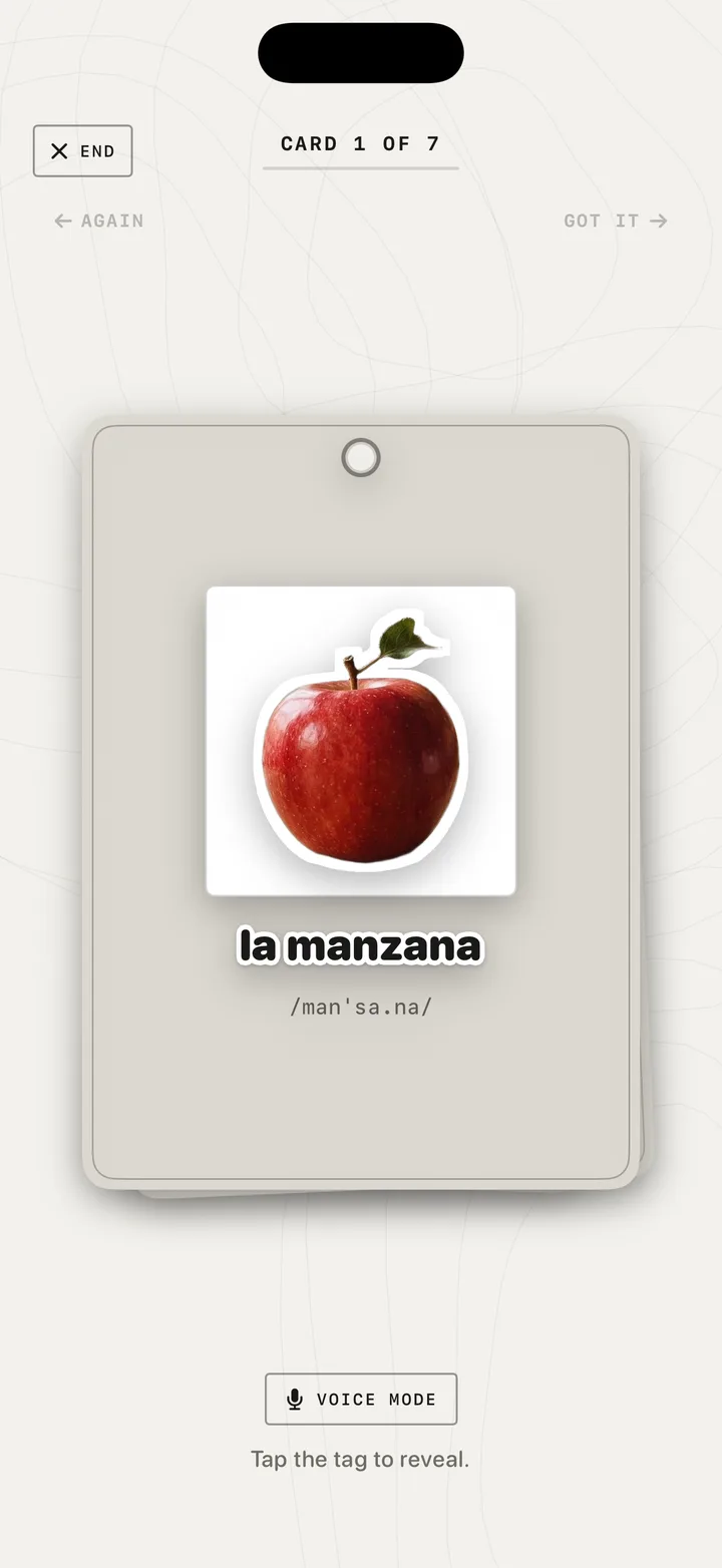 Review session with a flip card showing a photographed apple and the word la manzana